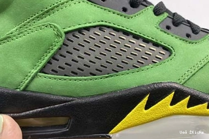 CK6631-307 Air Jordan Jordan “Oregon” Air 5 DailyWear 598 5 0816
